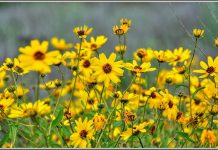 Spring Sizing Our Home