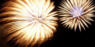 Things That Start with “F”