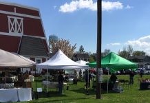 A Field Guide to a Farmers Market