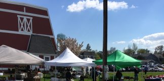 A Field Guide to a Farmers Market