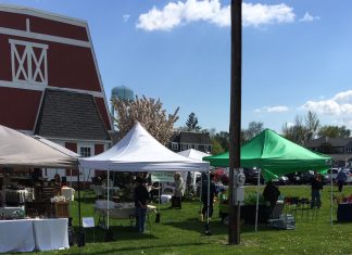 A Field Guide to a Farmers Market