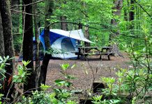 Camping Local in Style