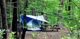 Simple and Successful Camping