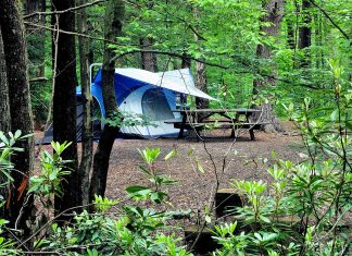 Camping Local in Style