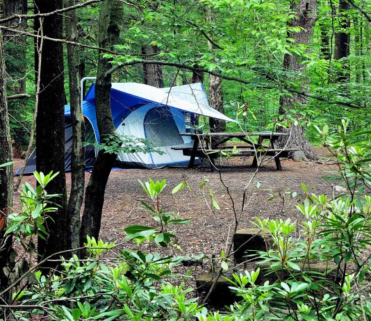 Simple and Successful Camping