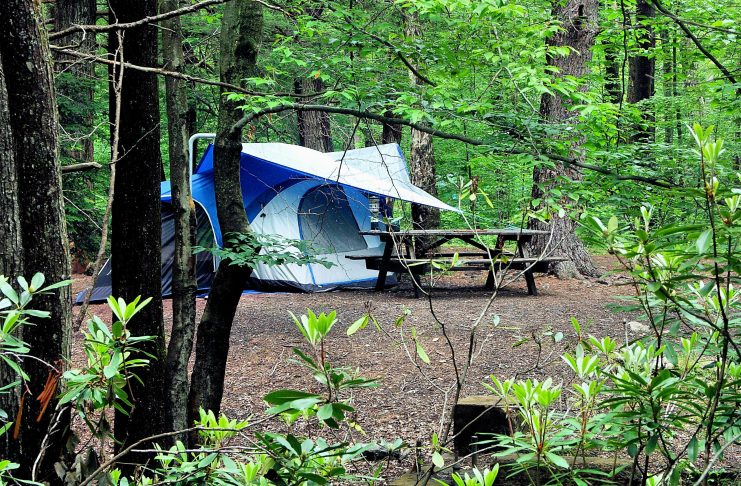 Camping Local in Style