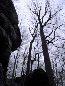 Candace took this shot during a recent camping trip. They decided to seek more secure shelter.