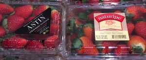 Florida and Mexico strawberries, sold side by side in Ohio