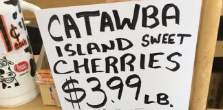 Shoppers on Site, Independence Day Edition!