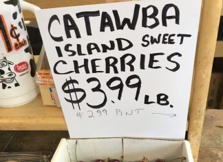 Shoppers on Site, Independence Day Edition!