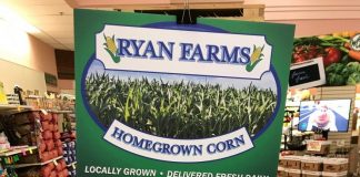 S.O.S {Shoppers on Site}, Lazy Summer Edition, 8/4/2017