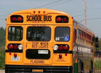 Back to School…Again