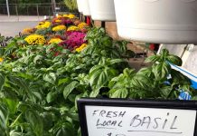 S.O.S. {Shoppers on Site}, End of Summer Edition