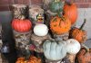 S.O.S. {Shoppers on Site}, Pumpkin Spice Edition 9/30/17