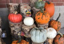 S.O.S. {Shoppers on Site}, Pumpkin Spice Edition 9/30/17