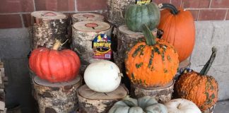 S.O.S. {Shoppers on Site}, Pumpkin Spice Edition 9/30/17