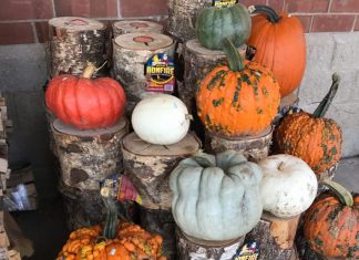 S.O.S. {Shoppers on Site}, Pumpkin Spice Edition 9/30/17