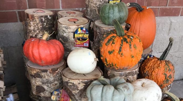 S.O.S. {Shoppers on Site}, Pumpkin Spice Edition 9/30/17