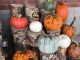 S.O.S. {Shoppers on Site}, Pumpkin Spice Edition 9/30/17