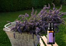 Back to Healing Basics