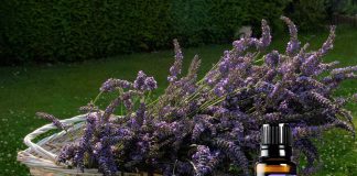 Back to Healing Basics