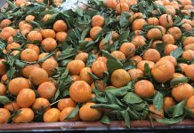 Shoppers on Site: Specialty Markets 1