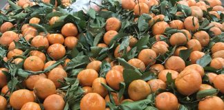 Shoppers on Site: Specialty Markets 1