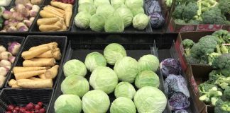 Shoppers on Site: Irish Edition