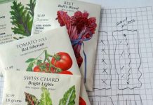 Shoppers on Site: Going Green!