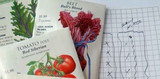 Shoppers on Site: Going Green!