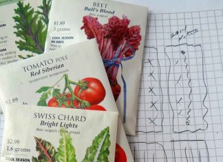 Shoppers on Site: Going Green!