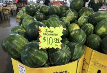 Shoppers on Site: Memorial Day Weekend!