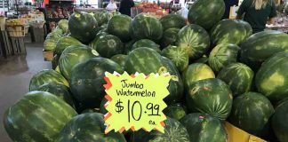 Shoppers on Site: Memorial Day Weekend!