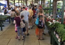 Farmers Markets Back in Action!