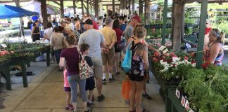 Farmers Markets Back in Action!