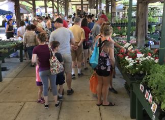 Farmers Markets Back in Action!
