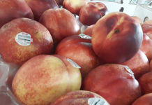 Shoppers on Site: Beat the Heat Edition