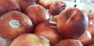 Shoppers on Site: Beat the Heat Edition