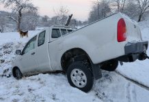 Insurance Old School