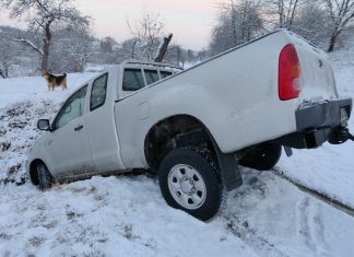 Insurance Old School