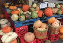 Shoppers on Site: Fall is Here Edition