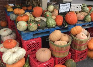 Shoppers on Site: Fall is Here Edition