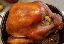 Turkey for Your Thoughts