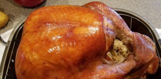 Turkey for Your Thoughts