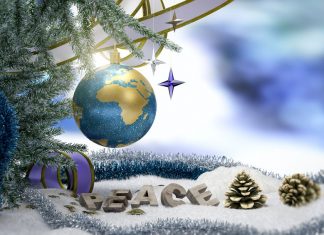 Stranger in a Winter Wonder Land