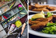 Fish: Fresh or Fried Fresh or Fried