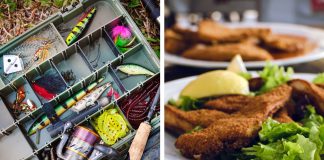 Fish: Fresh or Fried Fresh or Fried