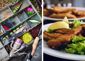 Fish: Fresh or Fried Fresh or Fried