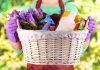 Top Ten Places for Spring Cleaning spring cleaning