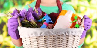 Top Ten Places for Spring Cleaning spring cleaning